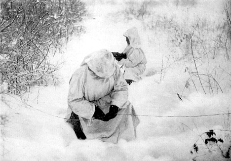 snow.gif